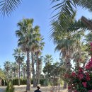 윈드힐펜션 | 아이와 벌써 6번째 제주여행! 숙소,관광지 찐 추천리스트