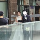 무브 유 | 모먼트무브 결혼식 현장 촬영 솔직한 후기, 본식dvd 본식스냅 가성비 본식영상 업체