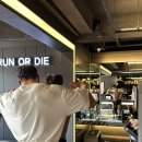 비비짐(BB GYM) 이미지