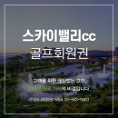 스카이엔지니어링주 이미지