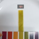 바이온텍유통 | PH 산도 테스트 리트머스 종이 페이퍼 (북타입)