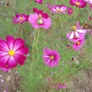 노동3리 이미지