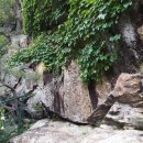 치악산둘레길 3코스 수레너미길 이미지