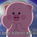 스시오사카 - 노원구 노원로1길 67 | 스시오사카