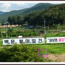 대구광역시 신청사  이미지