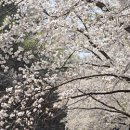 부천로264번길 이미지