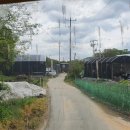 두창2리 두창 이미지