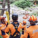 괴산비상13호 이미지