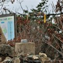 대원3 태양광발전소 이미지