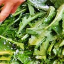 해돋이2농장 이미지