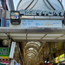 도그리아 | 늦은 속초 밤바다 여행기