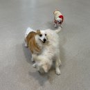 멍테소리 이미지