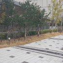 센텀행정사사무소 이미지