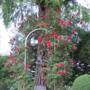 베네딕도수도원 피정의집 이미지