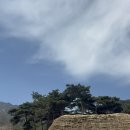 매월당민박