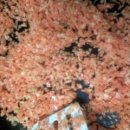 김밥명가 이미지