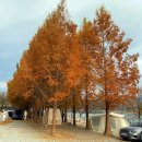 호반오토캠핑장 이미지