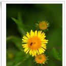 금곡 지하철역 이미지