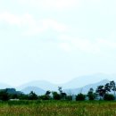 밀양아리랑오토캠핑장 이미지