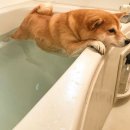 세븐돈산 | [후쿠오카호텔]더비하카타 / 더B하카타 가성비 호텔 /5박 6일 혼여/내돈산 호텔 추천 강강추 후기