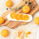 오서방네 농장 | 제주도감귤 상큼한 오서방네감귤농장