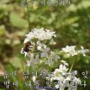 서운 이미지