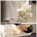 뮤제빈티지 | 오무아무아스냅 | 더베일리하우스 아이폰스냅 & 빈티지 디카 촬영후기 | 대표작가
