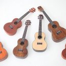 우쿨렐레(중,고급) 이미지
