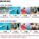 씨월드 | 거제 아이랑 가볼만한 곳｜거제씨월드 방문 후기