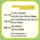 숟가락 | 용인배달이유식 아기숟가락 용인점 후기 이유식