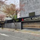 이그니스호텔 이미지