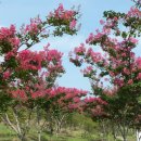 동호농장 이미지