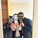 할리스커피새만금 | 엄빠랑 전라도여행 군산 숙소 추천 베스트웨스턴호텔