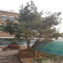 보림조경 이미지