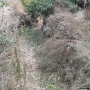 상가보건진료소 이미지