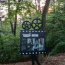 임천 가림성 느티나무 이미지