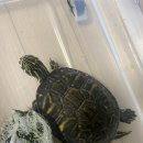 강산동물병원 이미지