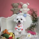 양덕동275 이미지