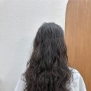 도그살롱바른핏 | 의정부미용실 오롯이살롱 긴머리 빈티지 굵은 히피펌 [빈티지로즈펌] 으로 분위기 여신 변신!!