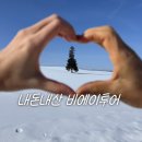 거기에/거기에서 | 인스타 그 나무 거기? 비에이투어 후기