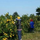 엄지농장 이미지