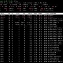 [스나이퍼팩토리] 카카오클라우드 AIaaS 마스터 클래스 4주차 - 리눅스(Linux) 개념 및 명령어 정리