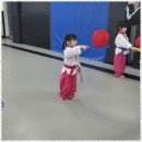 태성태권도 이미지