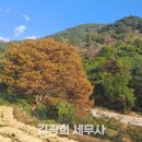 정상세무회계사무소 - 창원시 의창구 평산로 23 | 정상세무회계사무소