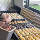 희선한의원 이미지