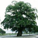 산들바람 민박 이미지