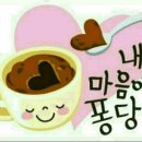 마음퐁당
