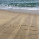 [뭐라도학교]쉘위훌라 | [제제브이로깅] 우리 형 자랑과 상담 후기를 빙자한 그냥 내 일기