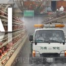 기동축산 이미지