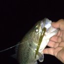 광신대교 이미지